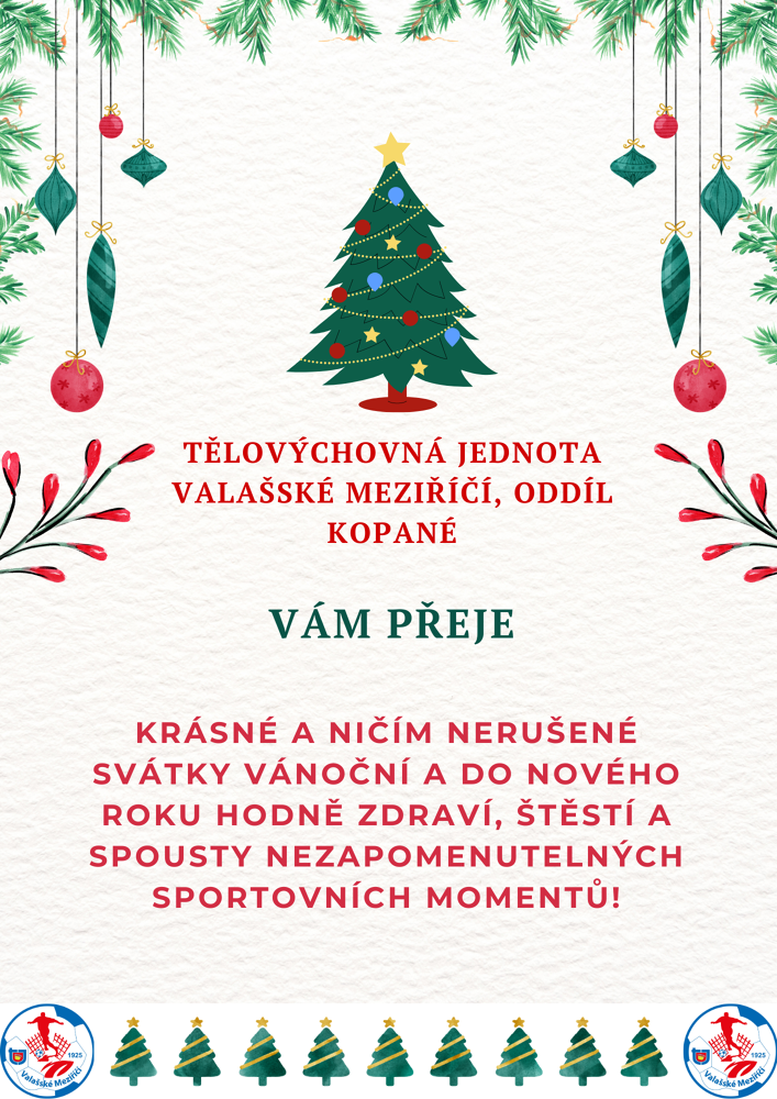 pf_2024_-_tj_valašské_meziříčí.png