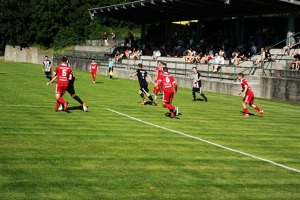 SFK ELKO Holešov - TJ Valašské Meziříčí 3:2 (2:0)